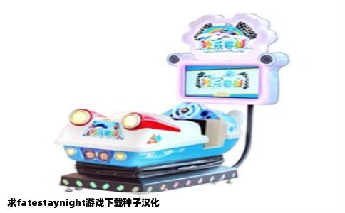 求fatestaynight游戏下载种子汉化
