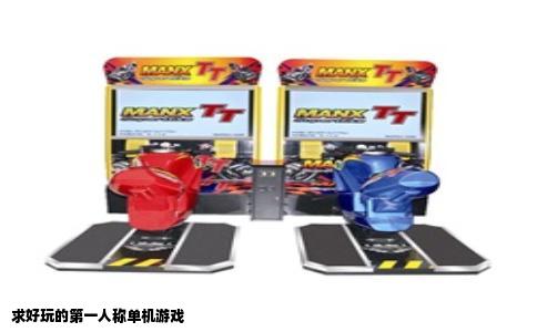 求好玩的第一人称单机游戏