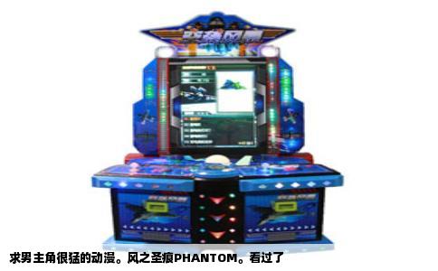 求男主角很猛的动漫。风之圣痕PHANTOM。看过了