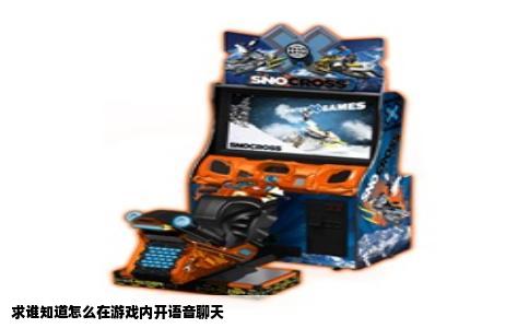 求谁知道怎么在游戏内开语音聊天
