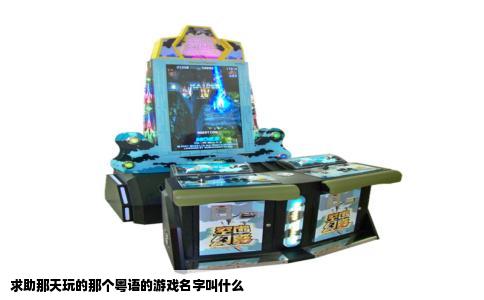 求助那天玩的那个粤语的游戏名字叫什么