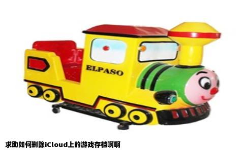 求助如何删除iCloud上的游戏存档啊啊