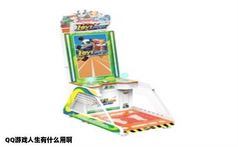 QQ游戏人生有什么用啊