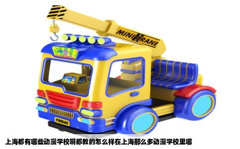 上海都有哪些动漫学校啊都教的怎么样在上海那么多动漫学校里哪