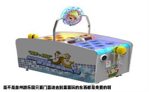 是不是泉州游乐园只要门票进去到里面玩的东西都是免费的啊