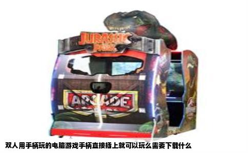 双人用手柄玩的电脑游戏手柄直接插上就可以玩么需要下载什么