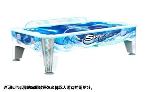 谁可以告诉我地牢围攻是怎么样双人游戏的啊给分。