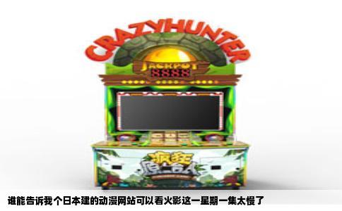 谁能告诉我个日本建的动漫网站可以看火影这一星期一集太慢了