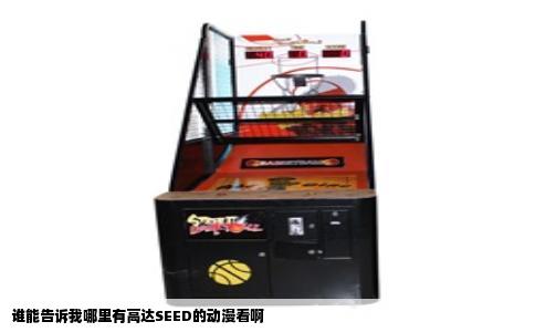 谁能告诉我哪里有高达SEED的动漫看啊