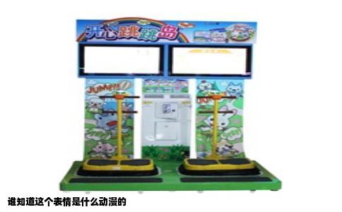 谁知道这个表情是什么动漫的