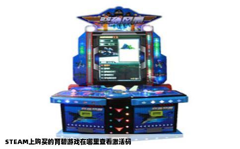 STEAM上购买的育碧游戏在哪里查看激活码