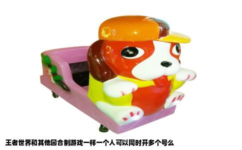 王者世界和其他回合制游戏一样一个人可以同时开多个号么