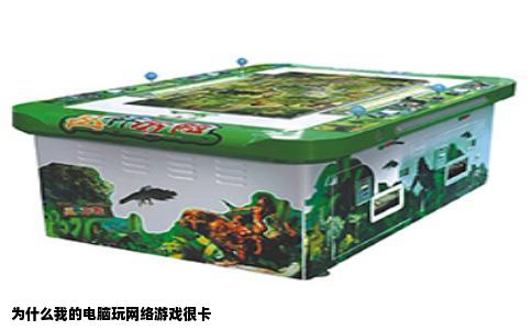 为什么我的电脑玩网络游戏很卡