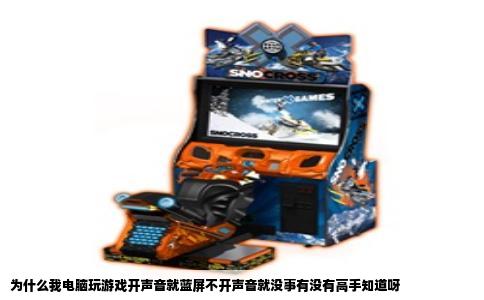 为什么我电脑玩游戏开声音就蓝屏不开声音就没事有没有高手知道呀