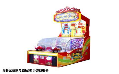 为什么我家电脑玩3D小游戏很卡