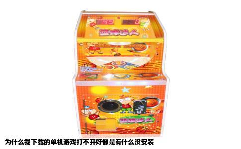 为什么我下载的单机游戏打不开好像是有什么没安装