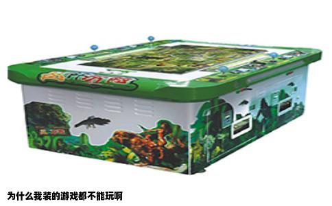 为什么我装的游戏都不能玩啊