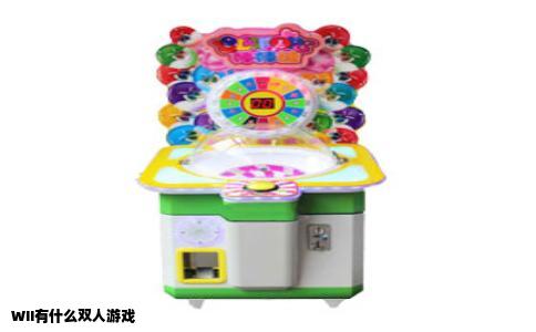 WII有什么双人游戏
