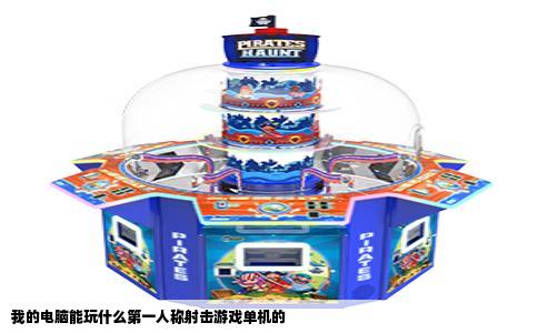 我的电脑能玩什么第一人称射击游戏单机的