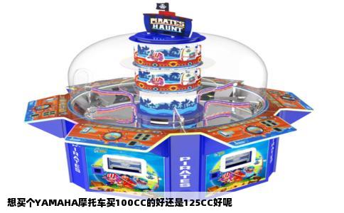 想买个YAMAHA摩托车买100CC的好还是125CC好呢