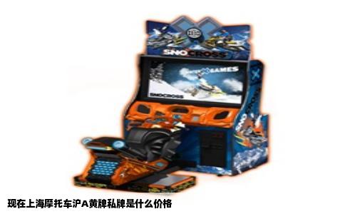 现在上海摩托车沪A黄牌私牌是什么价格