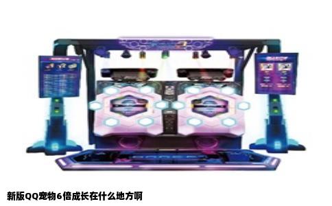 新版QQ宠物6倍成长在什么地方啊