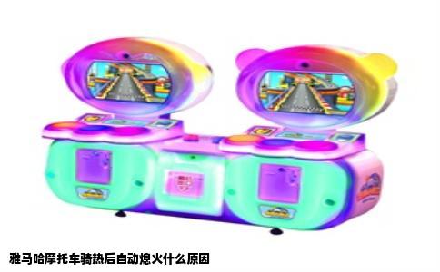 雅马哈摩托车骑热后自动熄火什么原因