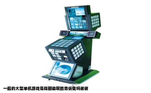 一般的大型单机游戏是指那些啊能告诉我吗谢谢