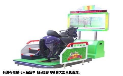 有没有模拟可以在空中飞行拉客飞机的大型单机游戏。