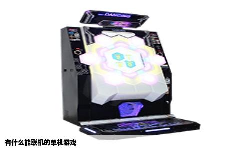 有什么能联机的单机游戏