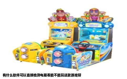 有什么软件可以直接检测电脑看能不能玩这款游戏呀