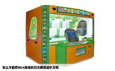 怎么才能把NDS游戏的日文翻译成中文呢