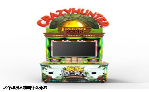 这个动漫人物叫什么来着